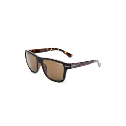 Pepe Jeans PJ7278C2 Brown Wayfarer-picture-28