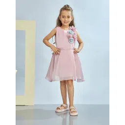 Peppermint Girls Pink Cotton Flared Fit Dress-picture-41