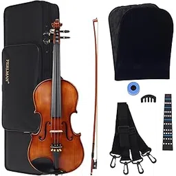 PERLMAN Classic Full Size 4/4 Violin With 1 Brazil Wood Bow, Rosin, Hard Case, 1 Fingerboard Sticker, 1 Violin Mute (PM 90)-picture-10