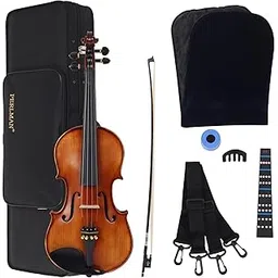 PERLMAN Classic Full Size 4/4 Violin With 1 carbon fiber bow, Rosin, Hard Case, 1 Fingerboard Sticker, 1 Violin Mute (PM 94)-picture-20