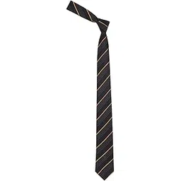 Men Grey Embroidered Tie-image-1