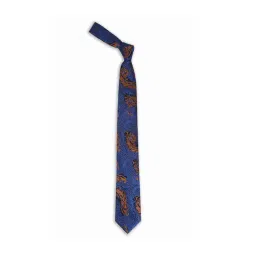 Peter England Blue Textured Tie-picture-14