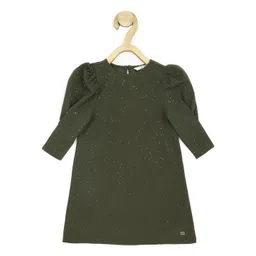 Peter England Girls Self Design Sparkly A-Line Mini Dress-picture-53
