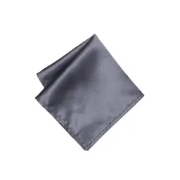 Peter England Grey Solid Pocket Square-picture-46