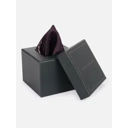 Peter England Men Accessory Gift Set-picture-33