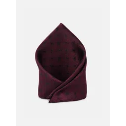 Peter England Men Embroidered Pocket Square, Tie, And Lapel Pin Accessory Gift Set-picture-24