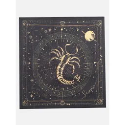 Peter England Men Pocket Square Accessory Gift Set image 4