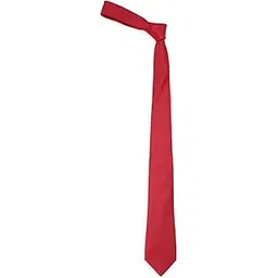 peter england Men Red Tie-picture-23