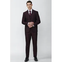 peter england Men Single Breasted - 2 button Solid Suit-picture-41