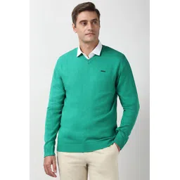 peter england Men Solid V Neck Green Sweater-picture-22