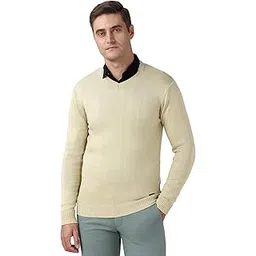 peter england Men Sweater-picture-23