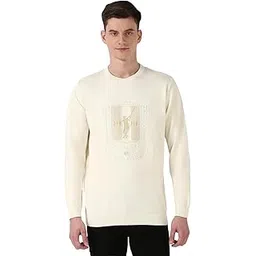 peter england Men Sweater-picture-17