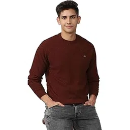 peter england Men's Acrylic Crew Neck Casual Sweater-picture-19