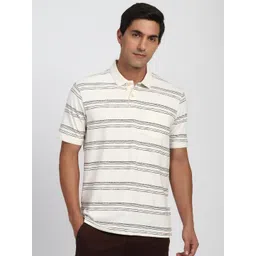 Peter England Striped Polo Collar Cotton T-shirt-picture-30