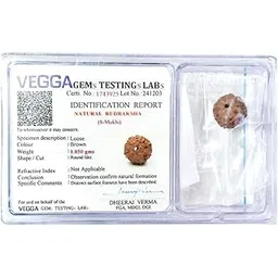 piccoti 8 Mukhi Nepali Rudraksha with VEGGA Certification | Natural Certified Rudraksha for Astrological Benefits | Brown, 1.05 Grams-picture-27