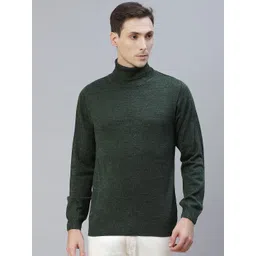 Pierre Carlo Men Green Solid Turtle Neck Pullover-image-33