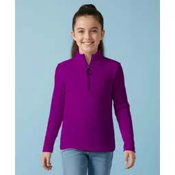 Pine Kids Cotton Lycra Knit Full Sleeves Solid Color High Neck Top - Violet-picture-38