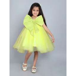 Pink Chick Fit & Flare Dress-picture-40