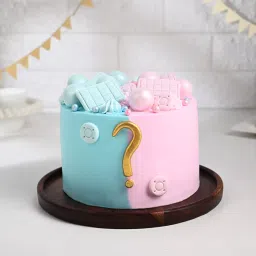 Pink N Blue Baby Shower Cake-picture-20