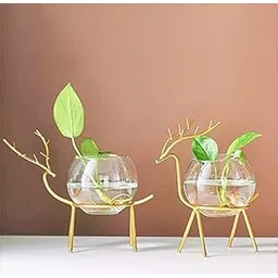 Planter Holder Deer | Glass Pot | Flower Round Vase Handmade for Home Decor - Round Shape Center Table Bedroom Living Room & Office Decoration (Set of 2) (Gold)-picture-30