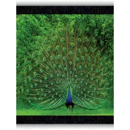 PnF Black & Green Birds And Animals Wall Art-picture-29