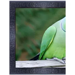 PnF Black & Green Wooden Birds and Animals Painting Wall Art-picture-36