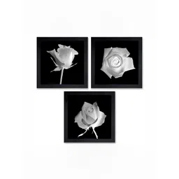 PnF Black & White 3 Pieces Floral and Botanical Wall Arts-picture-30