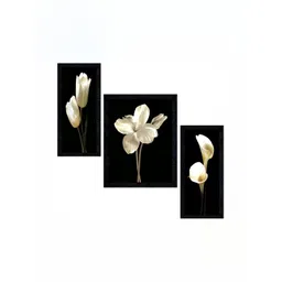PnF Black & White 3 Pieces Floral And Botanical Wall Arts-picture-19
