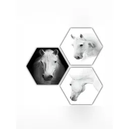 PnF White & Black 3 Pieces Wooden Birds and Animals Wall Art-picture-12