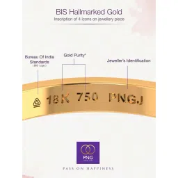 P.N.Gadgil Jewellers 18K Swirl Treasure Gold Necklace for Women image 2