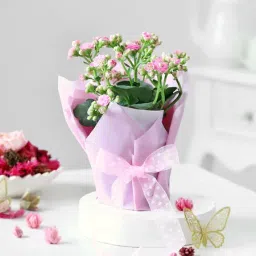 Poetry of Aromas image 5