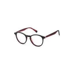 Polaroid Black Oval Unisex Eye Frames-picture-27