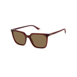 Polaroid Brown Round UV Protection Sunglasses for Women-picture-40