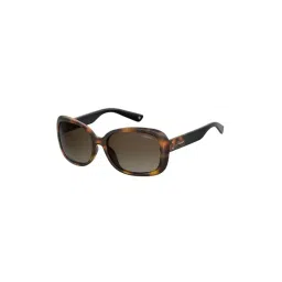 Polaroid PLD 4069/G/S/X Brown Bug Eye Sunglasses-picture-47
