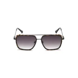 police accessories Police Men Brown Pc Frame and Grey Colored Lens Sunglasses - Splp59K 57 568-picture-12