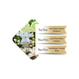 Police Men Set of 3 Light Blue Deodorant Body Spray - 200 ml Each image 4