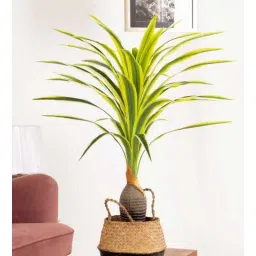 pollination Dracaena Yellow Polyester Artificial Tropical Plant without Pot-picture-13
