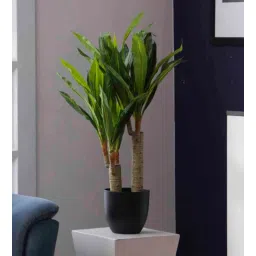 pollination Polyester Yellow Dracaena With Pot Artificial Plants-picture-33