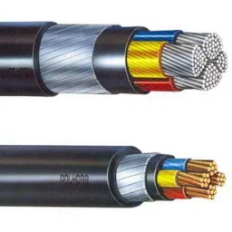 Polycab 10 Sqmm 2 Core Copper Conductor Unarmoured LT Power Cable, SISLV2X1010137-picture-30