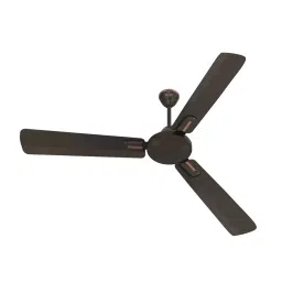 Polycab Vital Plus 1 Star Roast Brown 1200 mm Ceiling Fan-picture-24