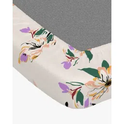 portico 144 TC Morning Glory Cotton Fitted Bedsheet image 5