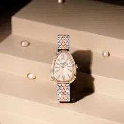 Sonata Poze Quartz Analog Rose Gold Mother Of Pearl Dial Two Toned Metal Strap Watch For Women-picture-32