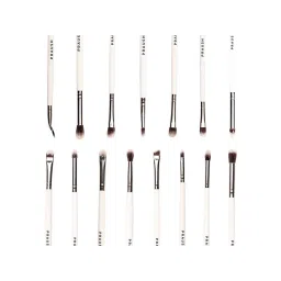 Praush Beauty 15 Pcs Professional Eye Brush Set-picture-13