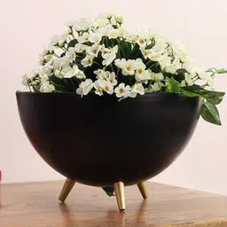 pristine interiors Black & Gold Metal Planter-picture-20