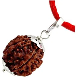 priyanshu navratn Certified 6 Mukhi Rudraksha Pendant Original Silver Plated 6 Face Rudraksha Locket Man & Women-picture-35