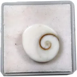 priyanshu navratn Natural Gomati Chakra Stone 5.25-6.25 Carat Gomati Chakra for Men and Women-picture-46