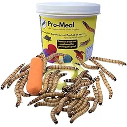 Pro-Meal Live Larvae Big Size Superworms - Hight Protien Treat Food for Aquarium Fishes Of All Life Stages Like Arowana, Flowerhorn and Birds, Reptiles, Monkeys and Other Pets (Pack of 50 Larvae)-image-10