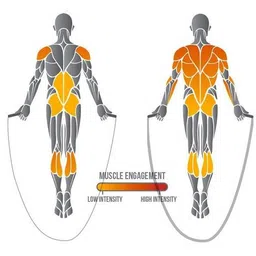 proactive Sports & Fitness Ball Bearing Jump Rope Fitness Accessory Kit Kit image 3