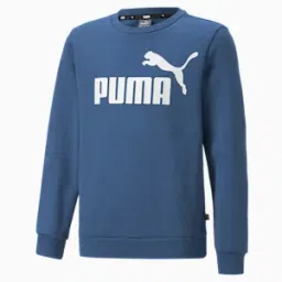 puma Big Logo Boy's Crew-Neck Sweat Shirt-picture-19