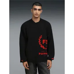 Puma Black Regular Fit Embroidered Sweatshirt-picture-39